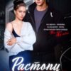 «Растопи мое сердце» Ники Сью, Даша Коэн