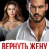 «Вернуть жену. Развод — не приговор» Дана Денисова, Алена Московская